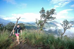 BIB: 
                            <button type="button" onclick="openModal(22371810)" class="btn btn-primary btn-sm float-right btn-popup" data-toggle="modal" data-target=".modal-high-quality">
                        <i class="fas fa-shopping-cart"></i> Add to Cart
                    </button>
                                            <button type="button" onclick="isThisMe(22371810, true)" class="btn btn-success btn-sm float-right btn-popup btn-isme hidden" data-toggle="tooltip" data-placement="bottom" title="นี่คือรูปของคุณใช่ไหม คลิกที่นี่เพื่อเอาเข้าอัลบั้ม">
                        <i class="fas fa-plus"></i> Add to album
                    </button>
                    <button type="button" onclick="isThisMe(22371810, false)" class="btn btn-warning btn-sm float-right btn-popup btn-isnotme hidden">
                        <i class="fas fa-ban"></i> Remove from album
                    </button>